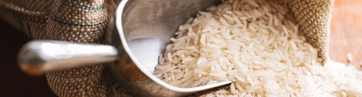Premium Rice varieties